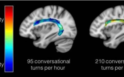 Groundbreaking Neuroscience Research Finds Talking with Young Children Improves Language Regions of Developing Brain